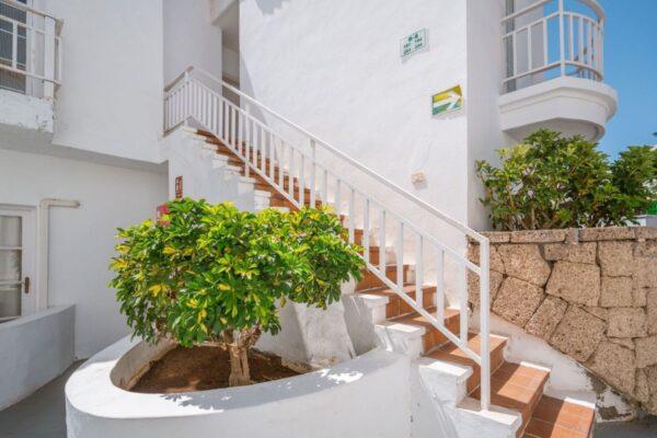 Apartment – CASTALIA PARK – Playa Fañabé